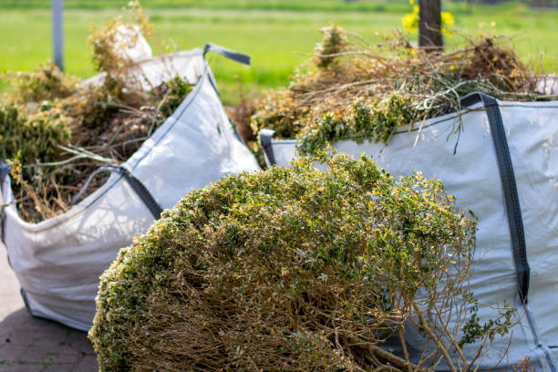 Best Shed Removal  in Bowie, TX